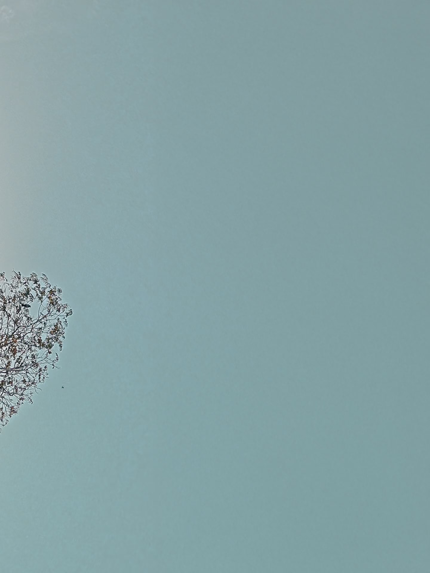 580986727 18230453104306896 5787207902795396870 n