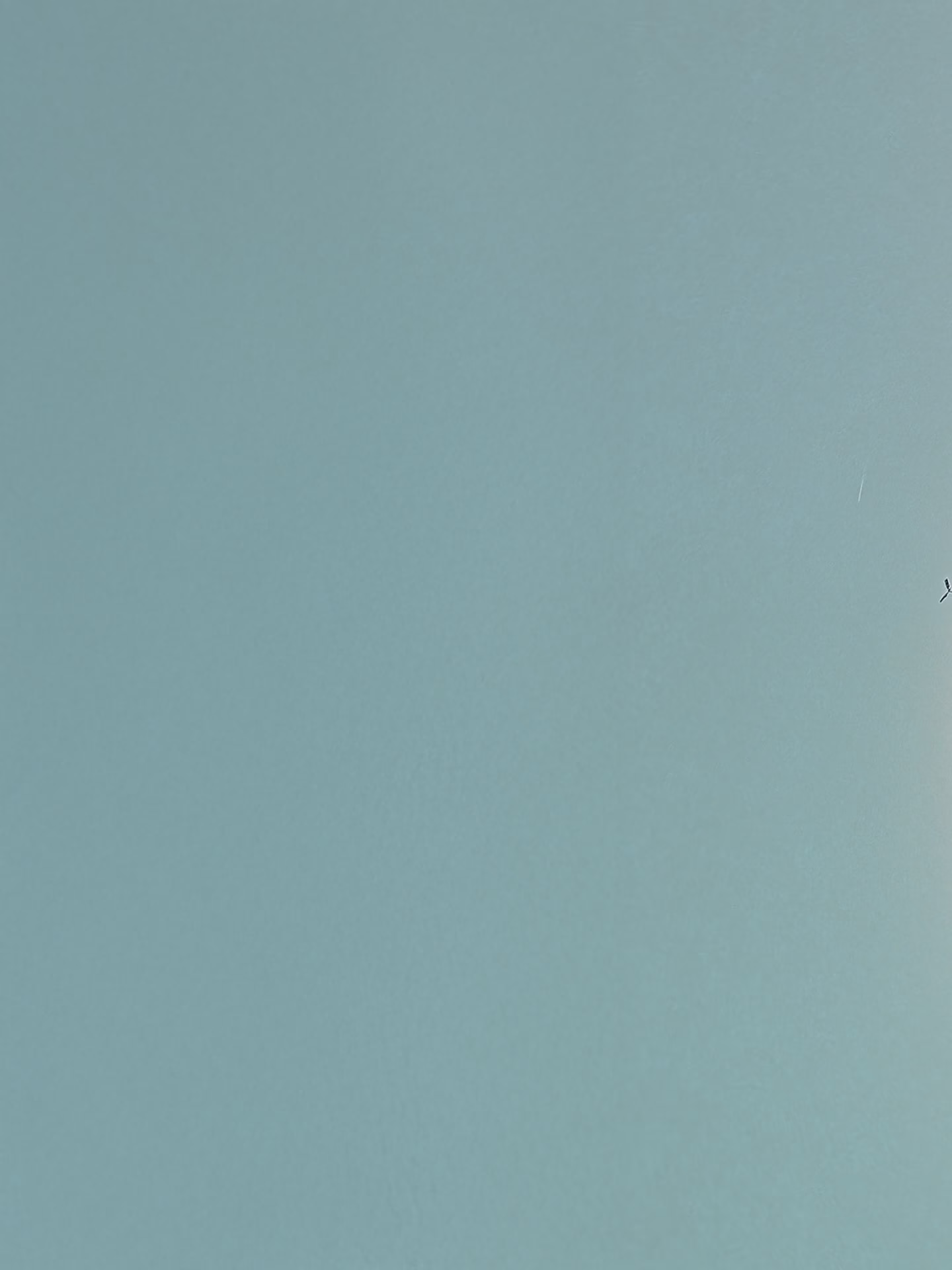 581499963 18230453383306896 4481192107908198258 n